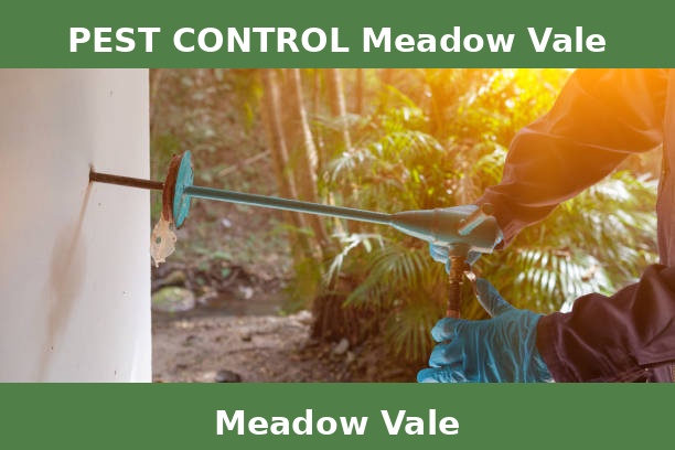 PEST CONTROL Meadow Vale